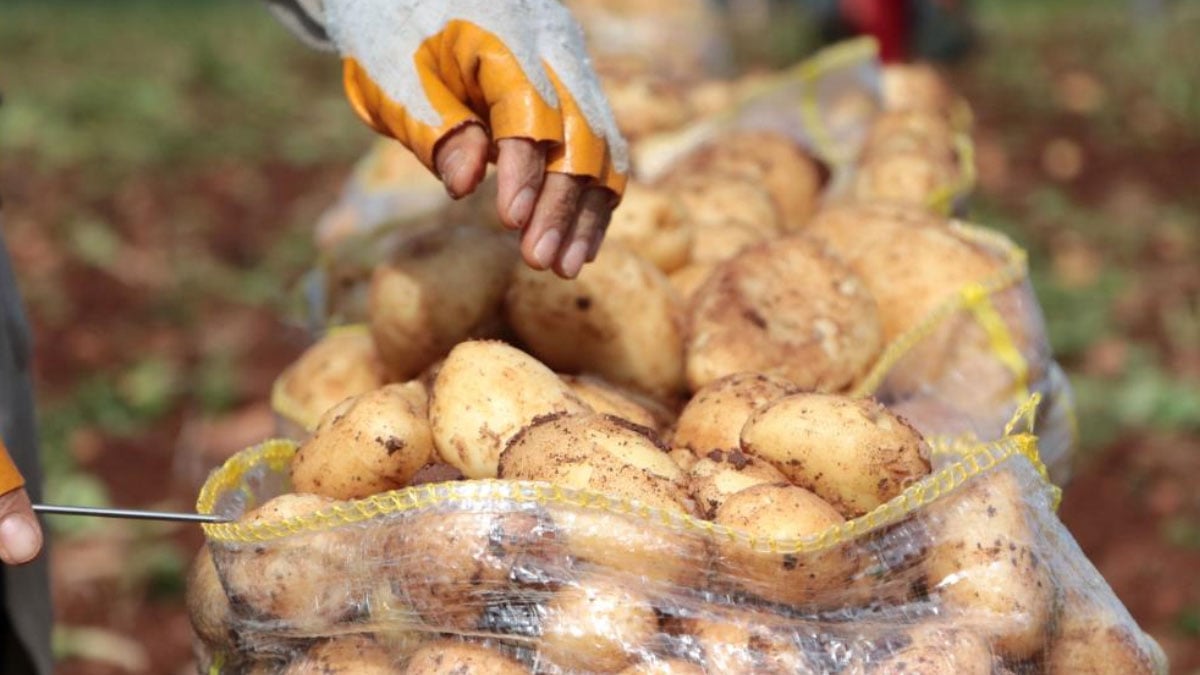 tuik duyurdu iste fiyati en cok dusen urun 2 JG1XQp1j