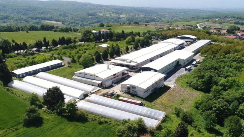 turkiyenin 32 yillik giyim devi iflasin pencesinde basari odulu kazanmisti wRRU4iRK