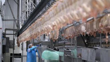 unlu et markalarina rekor ceza 7qg6b3rP