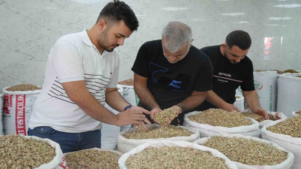 yesil altina izin cikti fiyatlar ve satislar dustu miNqi8xq