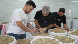 yesil altina izin cikti fiyatlar ve satislar dustu miNqi8xq