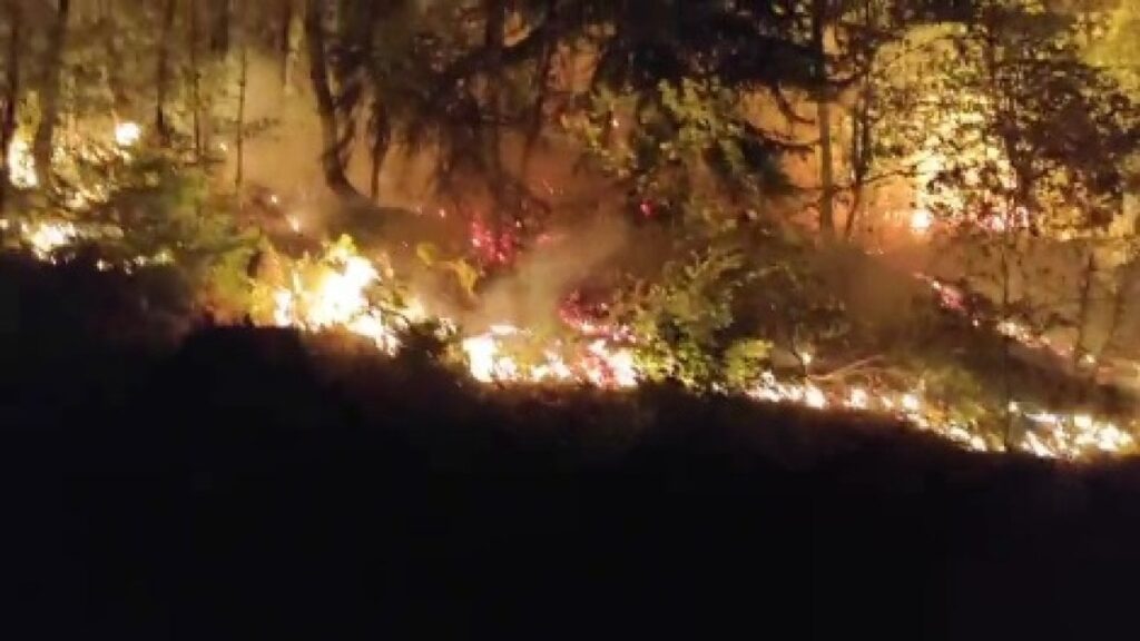 yigilcada orman yangini 2 saatte kontrol altinda RnGlW8mr