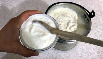 yogurtla gelen sifa sofralarin vazgecilmezi HWA1Uf3m