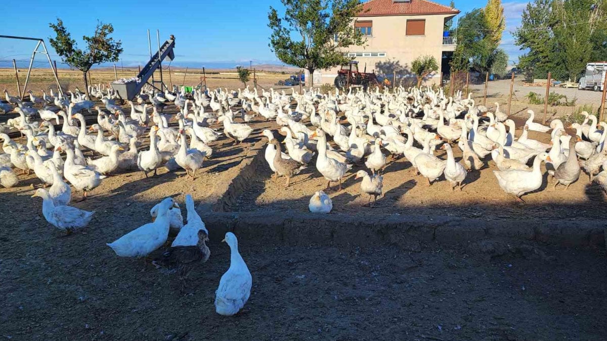 yozgatli girisimcinin dikkat ceken basarisi 5 kazla basladi 850ye yukseldi 3 PWuOaP4H