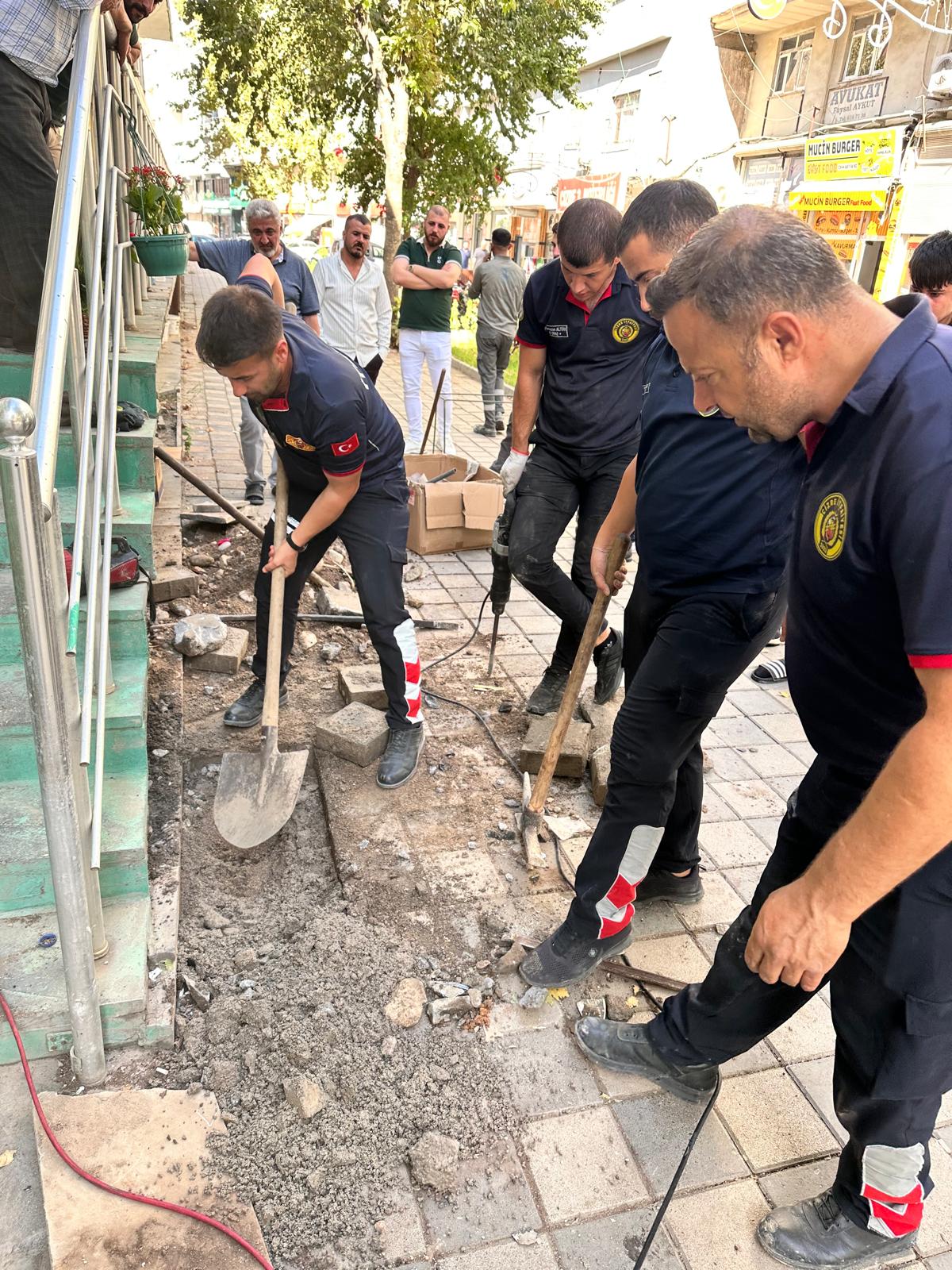 anne kedinin yavrusunu bekleyisi yurek dagladi cizre itfaiyesi seferber oldu 3 JQ7g9Z1v