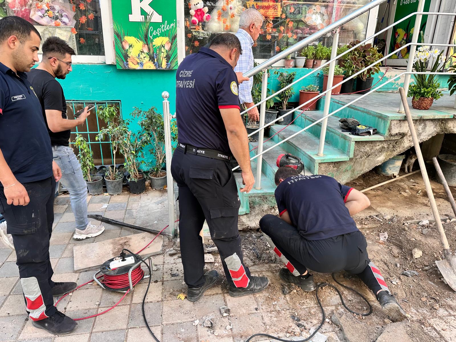 anne kedinin yavrusunu bekleyisi yurek dagladi cizre itfaiyesi seferber oldu 4