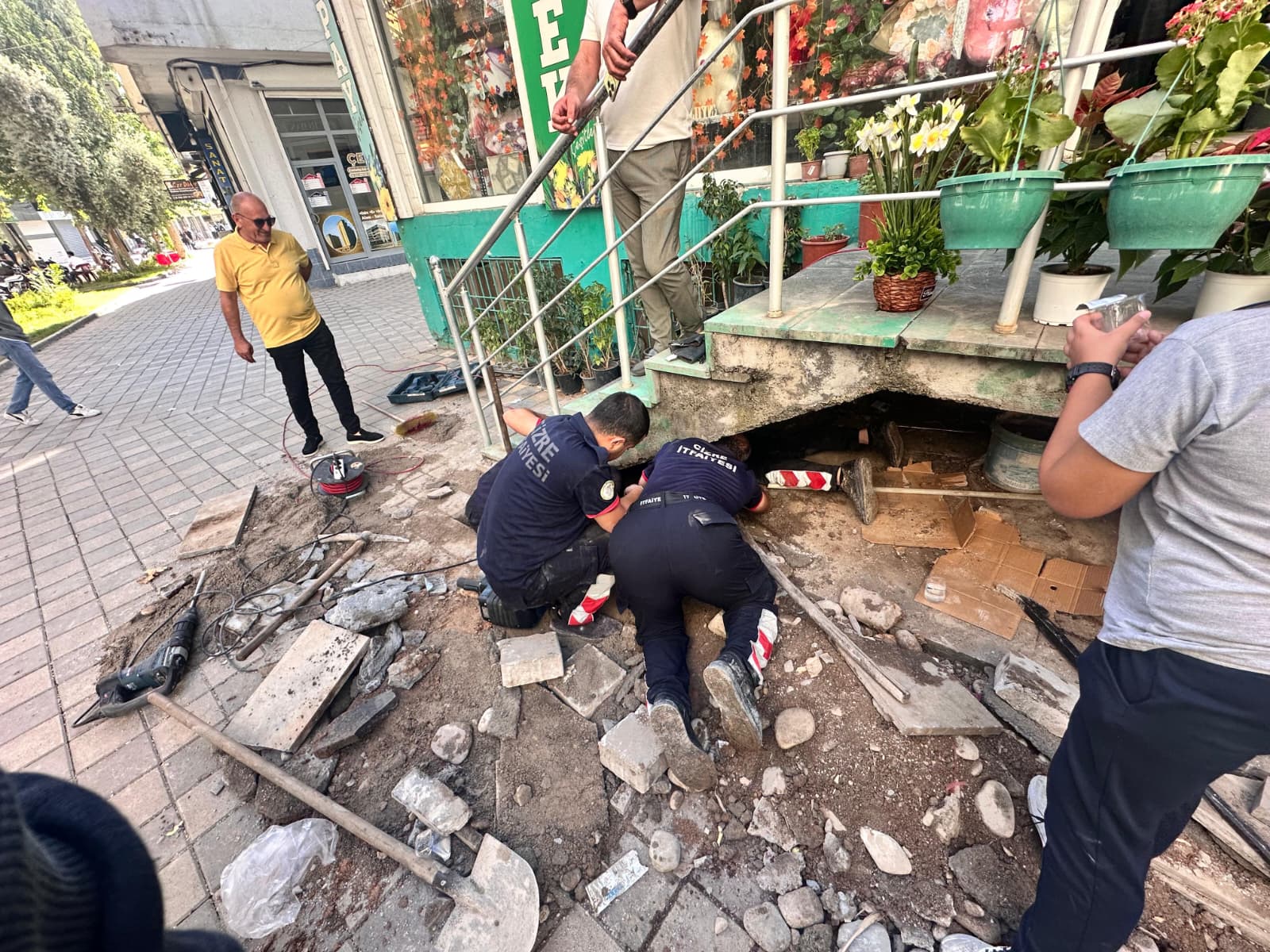 anne kedinin yavrusunu bekleyisi yurek dagladi cizre itfaiyesi seferber oldu 5 O4surQtW