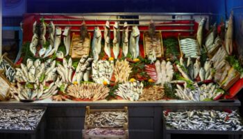 balik tezgahlarinda fiyatlar gecen yilin 4 kati xALRmDN5