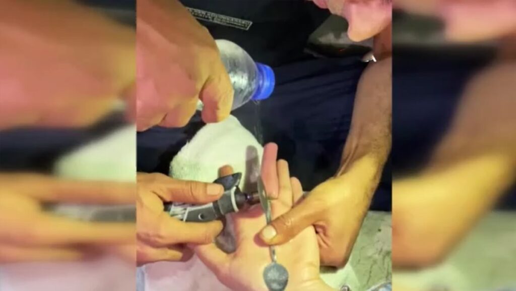bu seferki ihbar yangin degildi olay yerine giden itfaiye erleri sok oldu 1Esgt53I