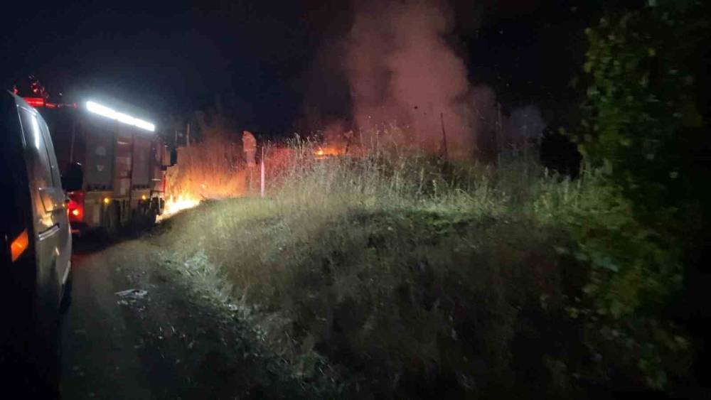 bursada tarlada cikan yangin korkuttu 3 FXvHs6uk