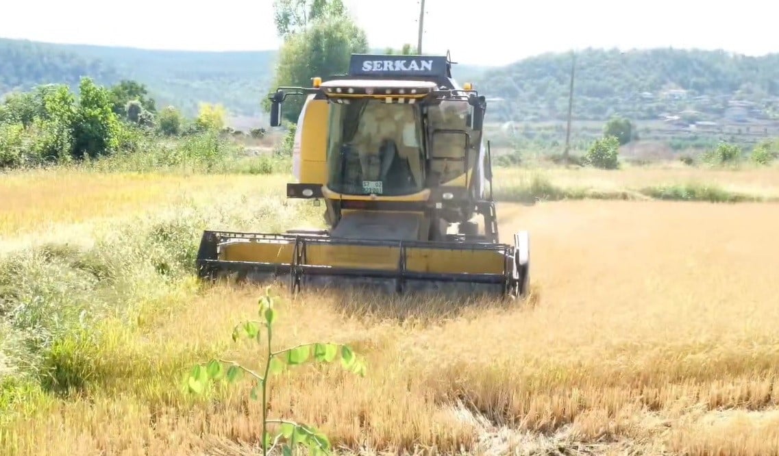 celtik hasadi basladi 0 5yMD8bnM