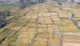 celtik hasadi basladi saREOh3e