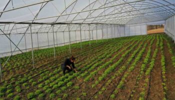 ciftcilere yuzde 50 hibe destegi yXkkBH3P