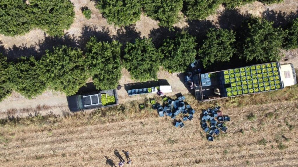 gecen yil 1 tlydi bu yil 20 tlye alici buluyor 1XvGRNeD