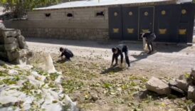 hem lezzeti hem iriligiyle dikkat cekiyor ve hasadi basladi kilosu 600e kadar cikiyor 6w49zSnh