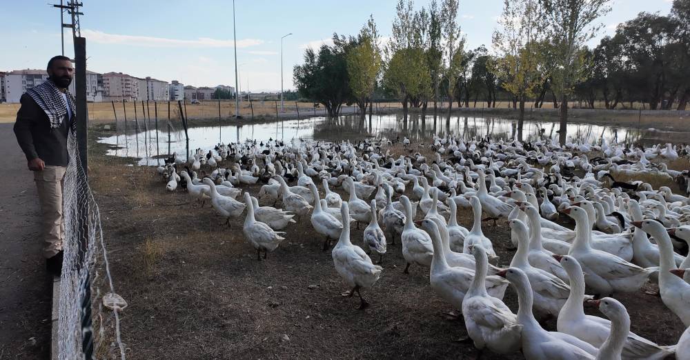 islik sesiyle yuzlerce kanatli hayvani etrafina topluyor 4 HzXPEDfL