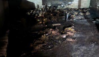 nigdede ahir yangini 170 koyun telef oldu 9Hk5L7Tb