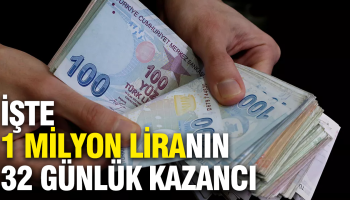 1 milyon liranin 32 gunluk getirisi dudak ucuklatti eXIUVnCQ