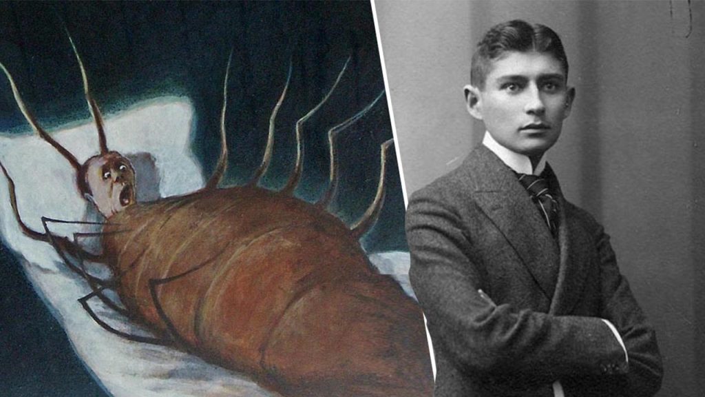 37 trieste film festivali 1624 ocak tarihleri arasinda italyada sinemaseverlerle bulustu lhKDHRCf