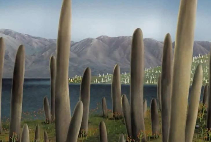 410 milyon yillik gizem son buldu prototaxitesin sirri cozuldu 3 YYU3qmWq