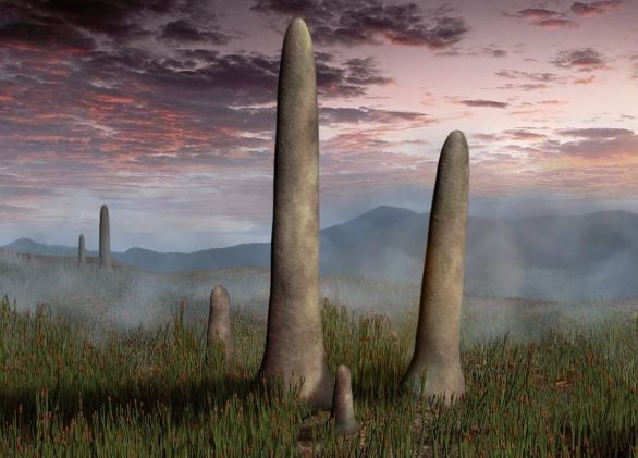 410 milyon yillik gizem son buldu prototaxitesin sirri cozuldu 5 Z2PB41Ut