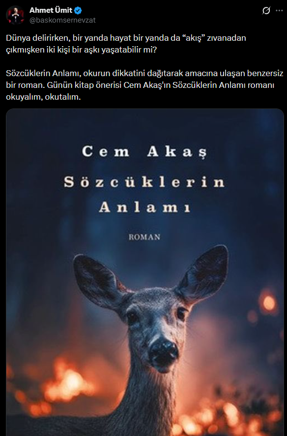 ahmet umitten kitap onerisi sozcuklerin anlami 0