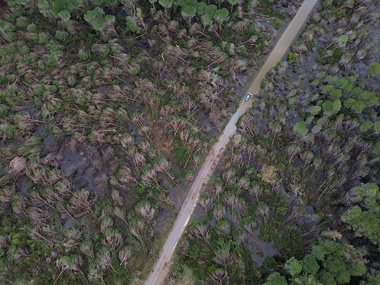 antalyada hortum felaketi agaclar tekneler her sey hasarli havadan korkunc goruntuler 1 JUqHEIhC