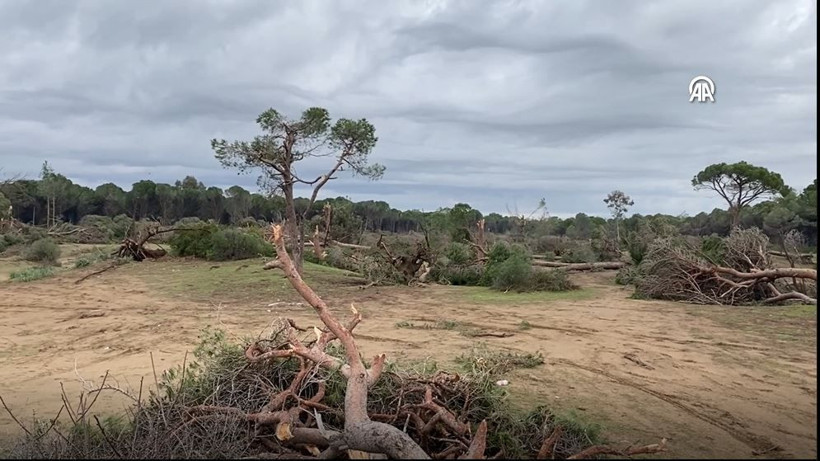 antalyada hortum felaketi agaclar tekneler her sey hasarli havadan korkunc goruntuler 10 uTEhCVnh