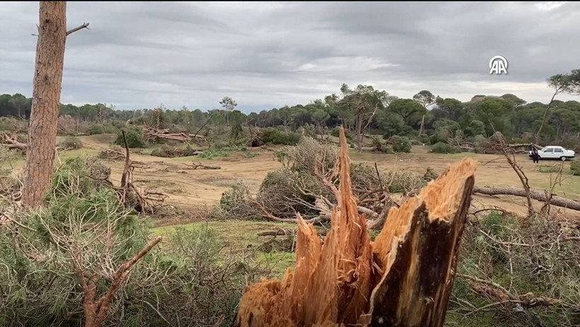 antalyada hortum felaketi agaclar tekneler her sey hasarli havadan korkunc goruntuler 11 3uk9MDJG