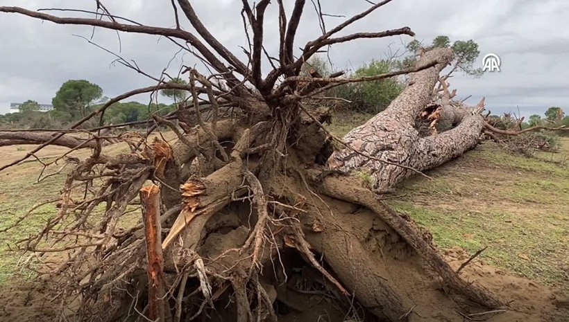 antalyada hortum felaketi agaclar tekneler her sey hasarli havadan korkunc goruntuler 12 tu2CG4jm