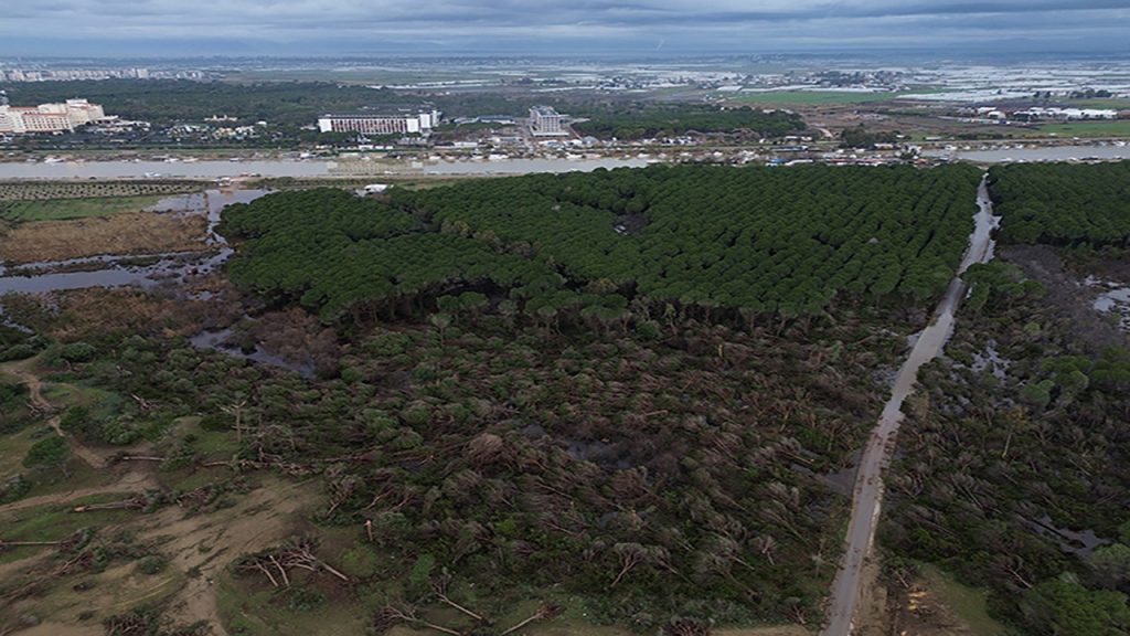 antalyada hortum felaketi agaclar tekneler her sey hasarli havadan korkunc goruntuler 12Mt4YQc