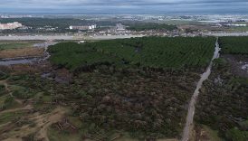 antalyada hortum felaketi agaclar tekneler her sey hasarli havadan korkunc goruntuler 12Mt4YQc