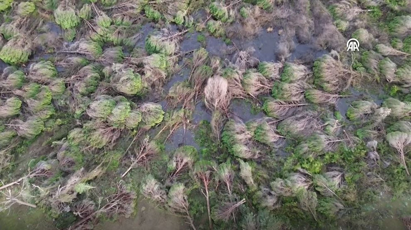 antalyada hortum felaketi agaclar tekneler her sey hasarli havadan korkunc goruntuler 13 6ShfPSwf