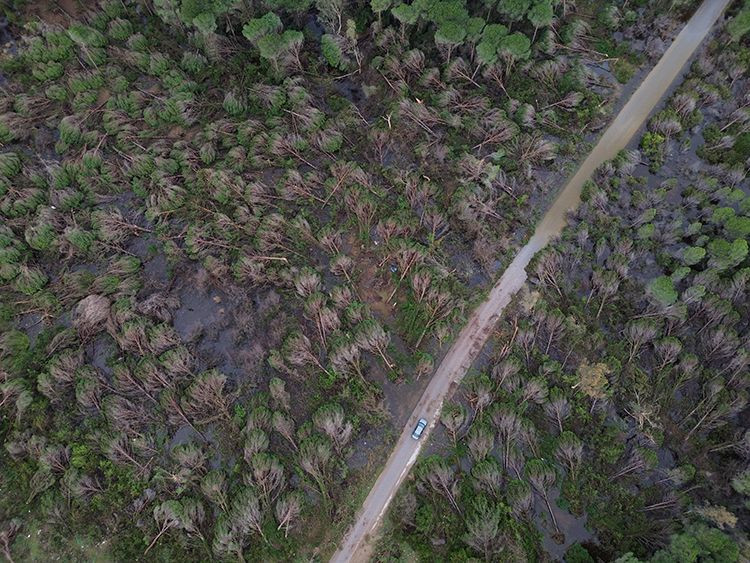 antalyada hortum felaketi agaclar tekneler her sey hasarli havadan korkunc goruntuler 2 8kYKgDZH