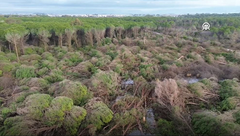 antalyada hortum felaketi agaclar tekneler her sey hasarli havadan korkunc goruntuler 6 4yausSUC