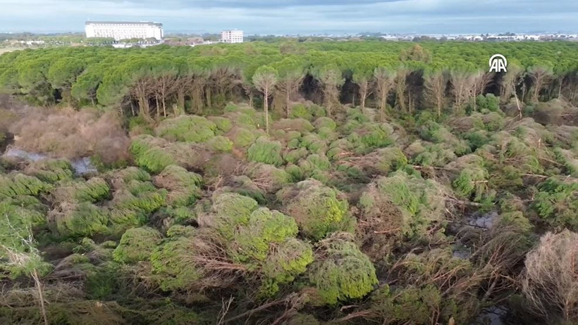 antalyada hortum felaketi agaclar tekneler her sey hasarli havadan korkunc goruntuler 7 DpqmV4BY