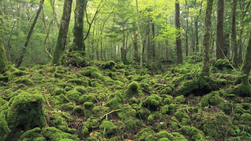 bakmaya bile cesaret edemeyeceksiniz iste dunyanin en korkunc 8 yeri 2 Y6DR1z5L