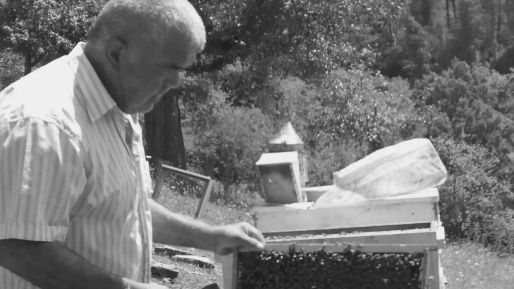 bartinda 65 yasindaki adam agacinda can verdi At3hzkv4