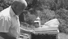 bartinda 65 yasindaki adam agacinda can verdi At3hzkv4