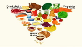 besin piramidi degisti mi yeni besin piramidi nedir neleri degistiriyor IizGDZBR