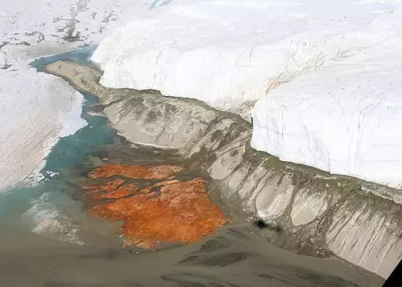 beyaz kitanin kanli sirri 15 milyon yillik 1 fRe3KqCG