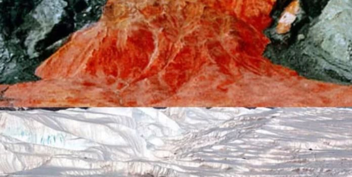 beyaz kitanin kanli sirri 15 milyon yillik 10 k2PmED9Q