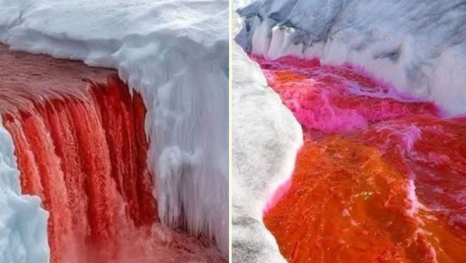 beyaz kitanin kanli sirri 15 milyon yillik 11 K3XGbnFj