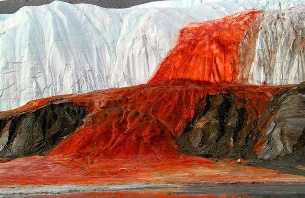 beyaz kitanin kanli sirri 15 milyon yillik 13 9zHBfBlH