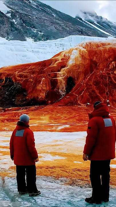 beyaz kitanin kanli sirri 15 milyon yillik 3 jRzX3Oql