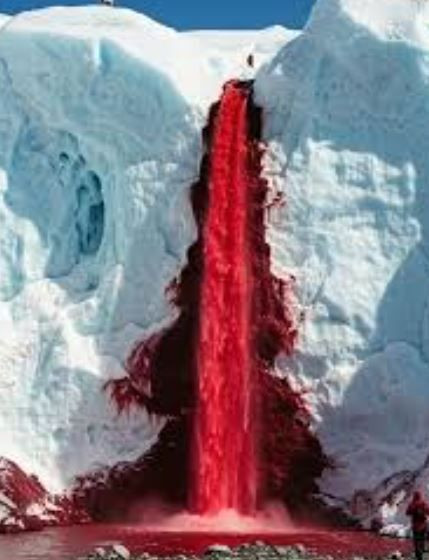 beyaz kitanin kanli sirri 15 milyon yillik 4 inBqp4HO