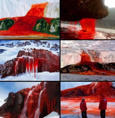 beyaz kitanin kanli sirri 15 milyon yillik 5