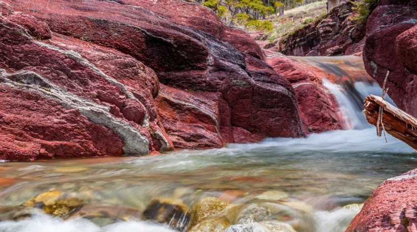 beyaz kitanin kanli sirri 15 milyon yillik 7 HOL6cc2z