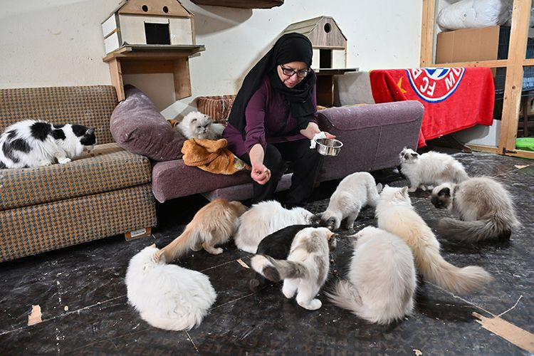 beyrutun kedi kadini 70 kediye yuva acti savas ve krizde bile terk etmedi 1