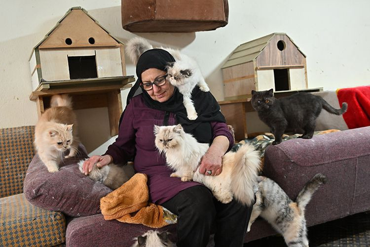 beyrutun kedi kadini 70 kediye yuva acti savas ve krizde bile terk etmedi 4 hEIzcUXW
